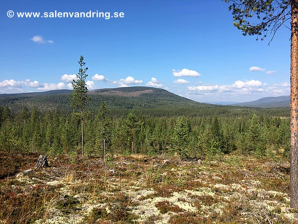 Under Grensetrimmen - vid gränsen mot Flervola