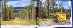 Uppslag från boken Bilder från Ljøradalføret