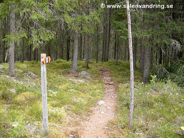 Stigen nära Axikojan