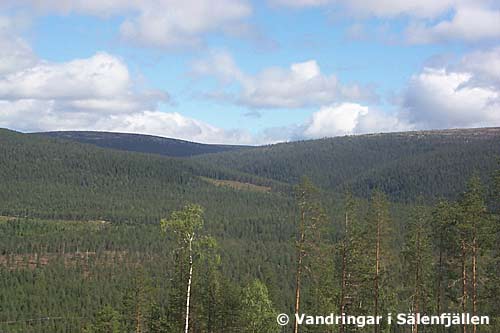Björnbäckdalen från Stora Moberget