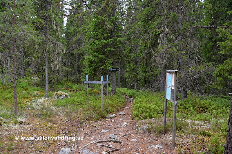 Ledskiljet Svenskvegen och Bygdervegen