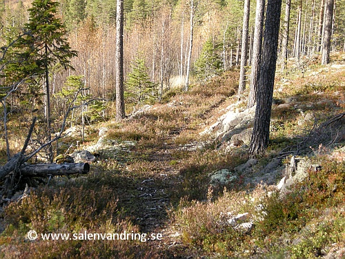 Den anlagda vägen upp till Ingvallhögen