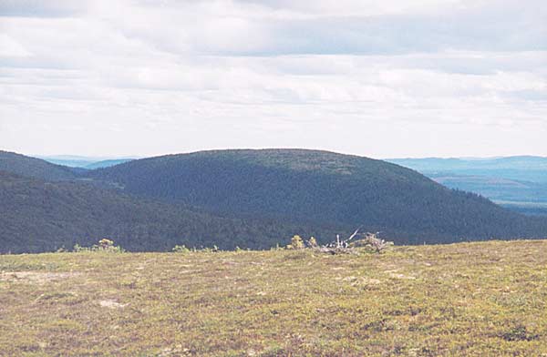 Mossakalen och Mossakalsgraven från Östra Kalven