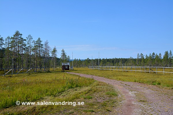 Smågankontrollen